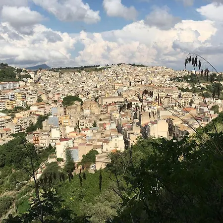 La Domus Di Segesta 